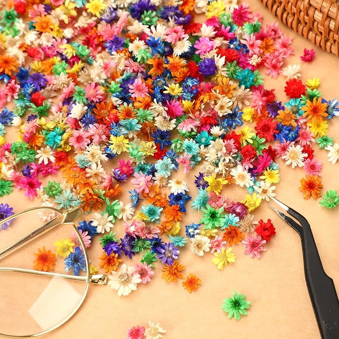 MARFOREVER 420 Pcs Small Dried Flowers - Image 4