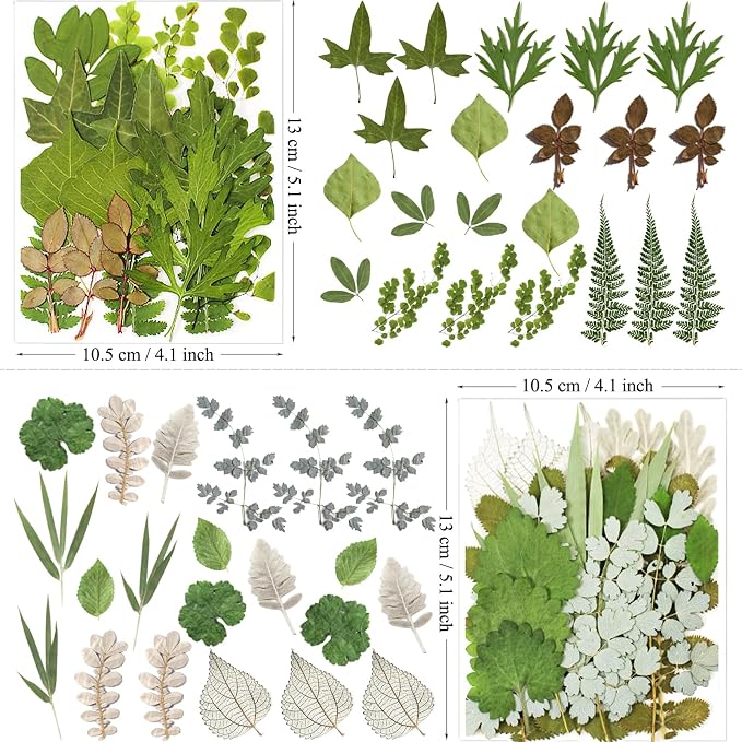 MIKIYA 84Pcs Pressed Dried Leaves - Image 6