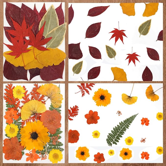 Dried Flowers | 68Pcs Fall Pressed Flower - Image 4