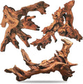Hamiledyi Aquarium Driftwood 3PCS Natural Trunk Driftwood Assorted Branches by Hamiledyi