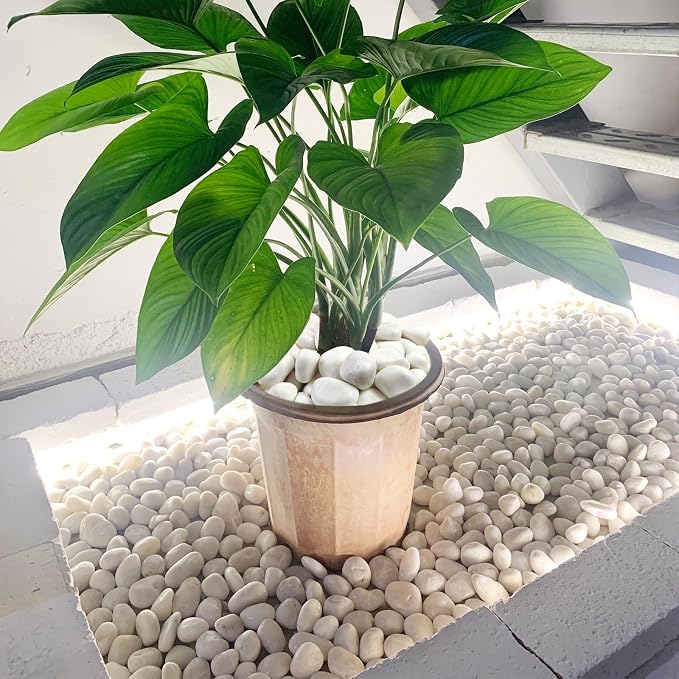 FANTIAN 20 lbs White Rocks for Gardens, 1.5-2.5 Inch Decorative Pebbles for - Image 5
