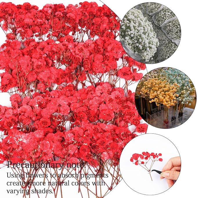50Pcs Red Babys Breath Dried Pressed Flowers - Image 4