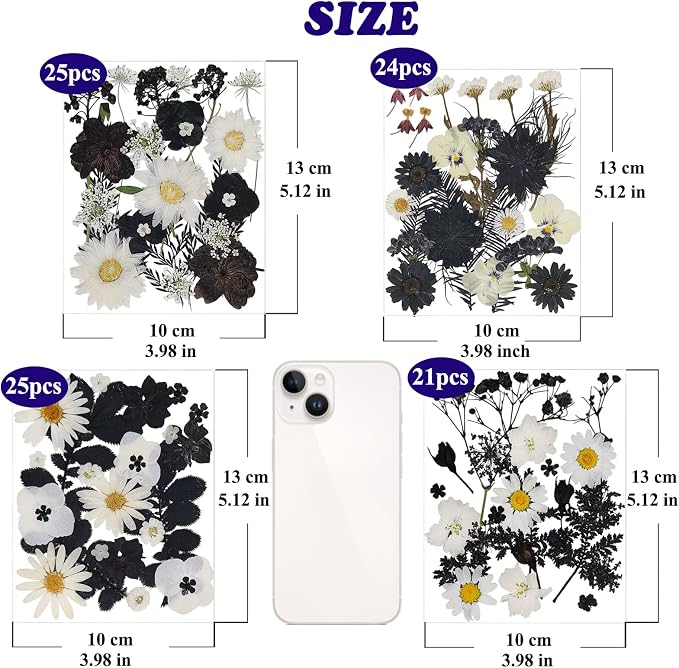 94 Pcs Black Pressed Dried Flowers - Image 6