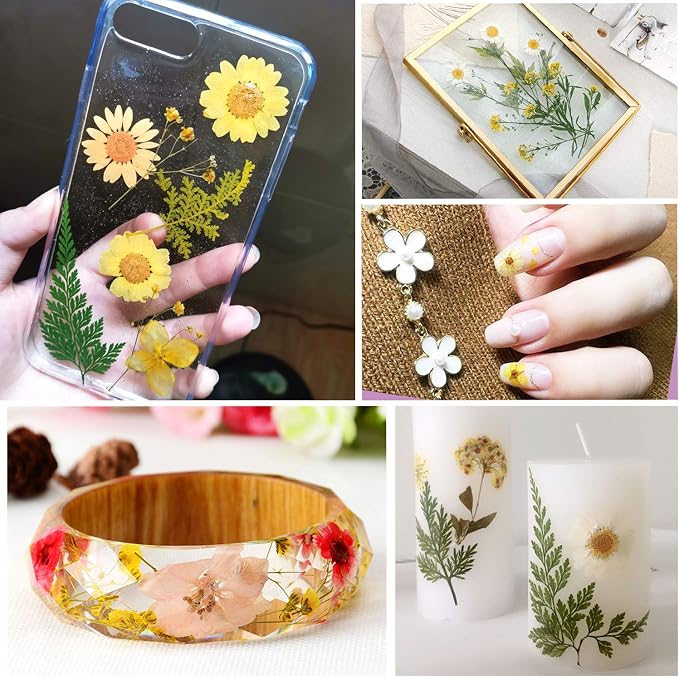 Augshy Dried Pressed Flowers - Image 6