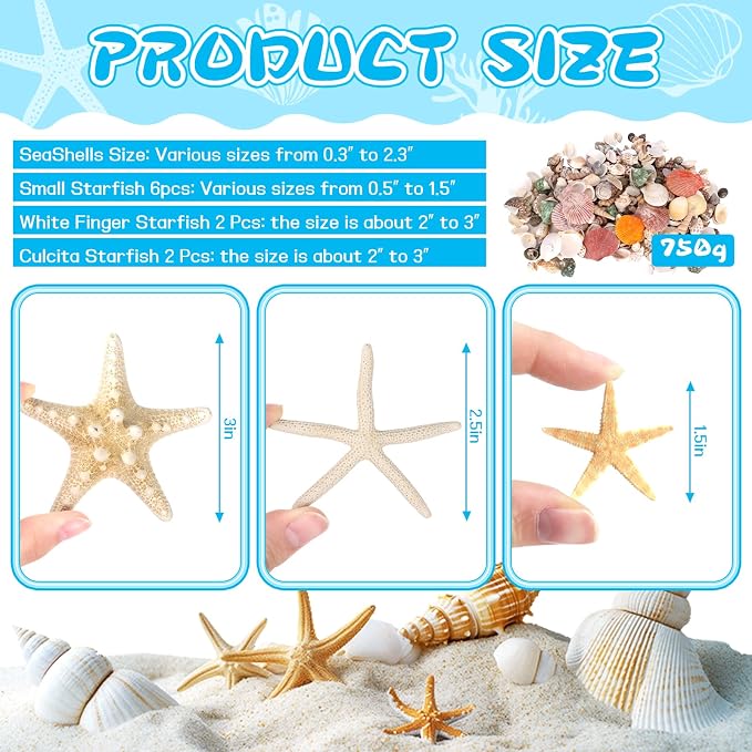 WEOXPR Mixed Seashells & Starfish Decor - Image 2
