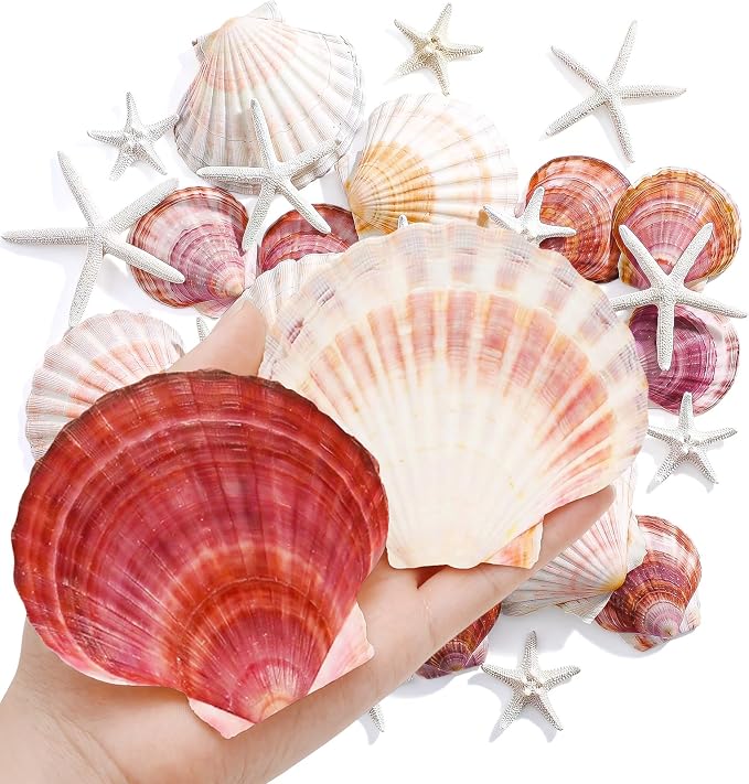 Junkin 40 Pack Natural Scallop Shells and Artificial Starfish by Junkin