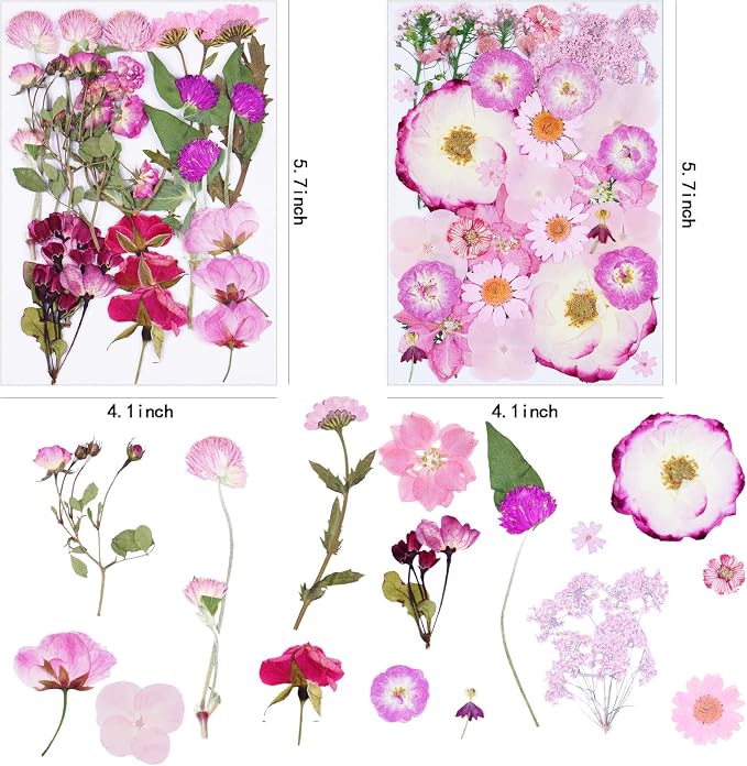92Pcs Pink Dried Pressed Flowers - Image 2