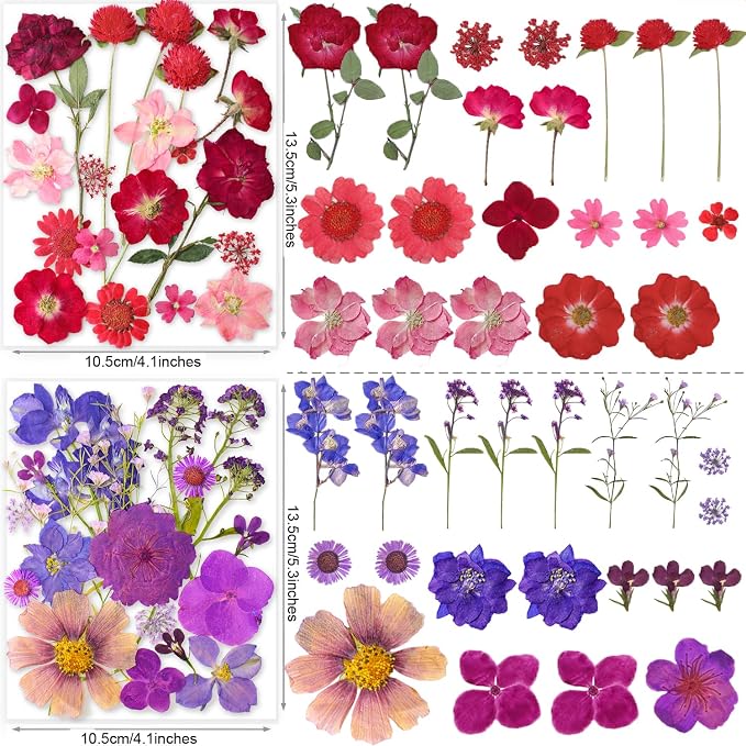 221PCS Real Nature Dried Pressed Flowers - Image 3