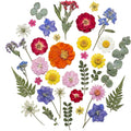 Assorted Dried Flower Petals and Leaves Set by MHNJA