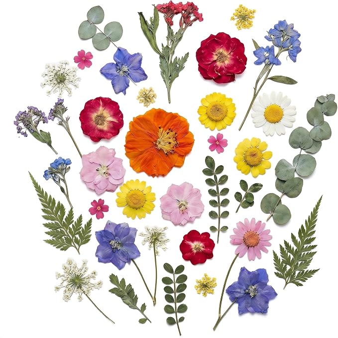 Assorted Dried Flower Petals and Leaves Set by MHNJA