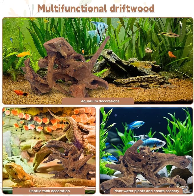 PINVNBY Natural Large Driftwood - Image 4