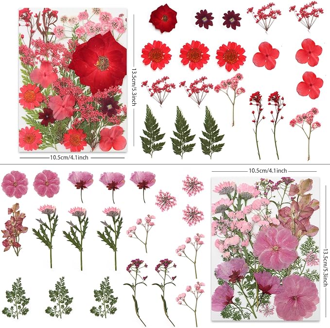 LUXEEASE 80P Vibrant Multicolor Dried Pressed Flowers | No matching needed - Image 2