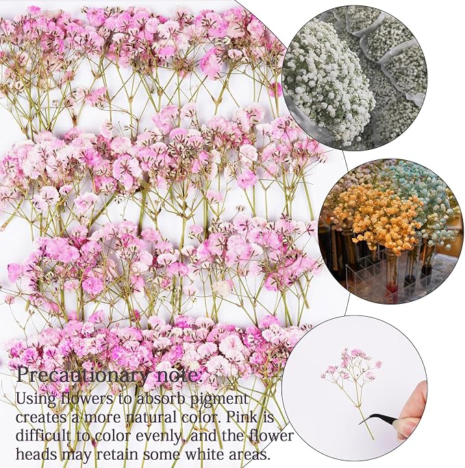 50Pcs Pink Babys Breath Dried Pressed Flowers - Image 4