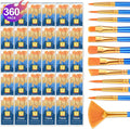 ESRICH Paint Brushes Set, 30 Pack/360 Pcs Nylon Hair Round-Pointed Tip Paint by ESRICH