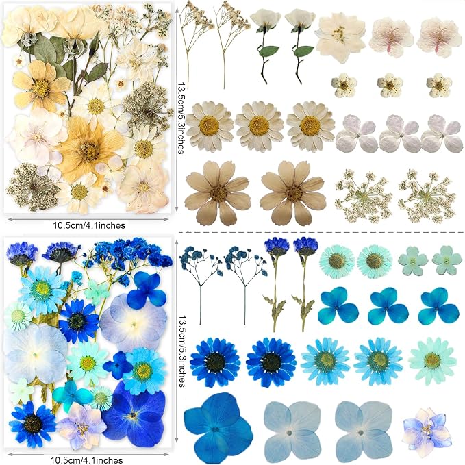 221PCS Real Nature Dried Pressed Flowers - Image 5