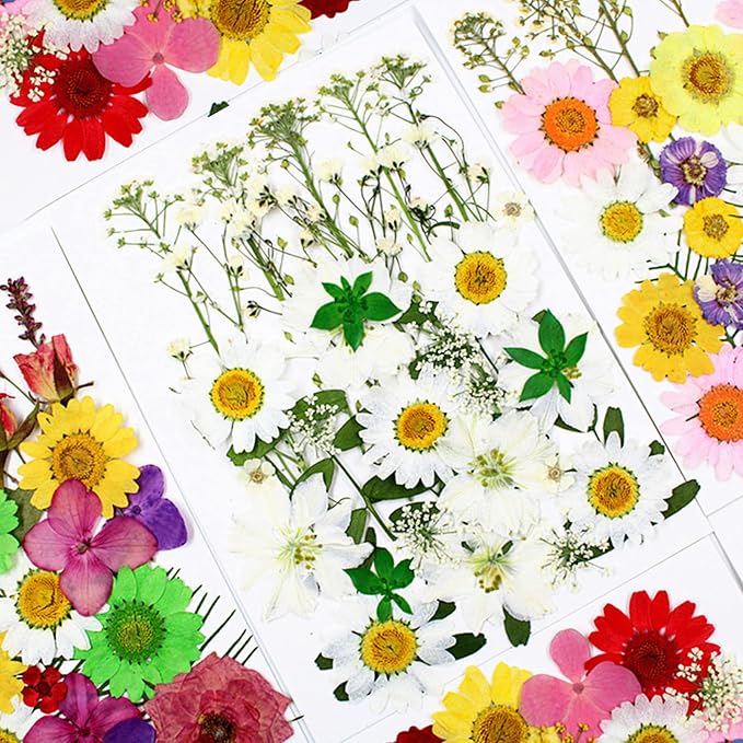 86Pcs White Pressed Dried Flowers Real Natural Leave - Image 3