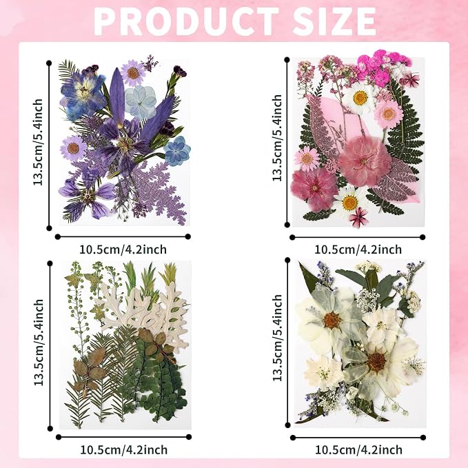 Augshy Dried Pressed Flowers Dry Leaves, Scrapbooking - Image 2