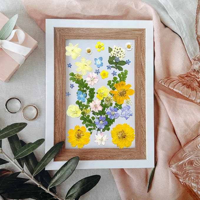 MIKIYA 34Pcs Pressed Dried Flowers - Image 4