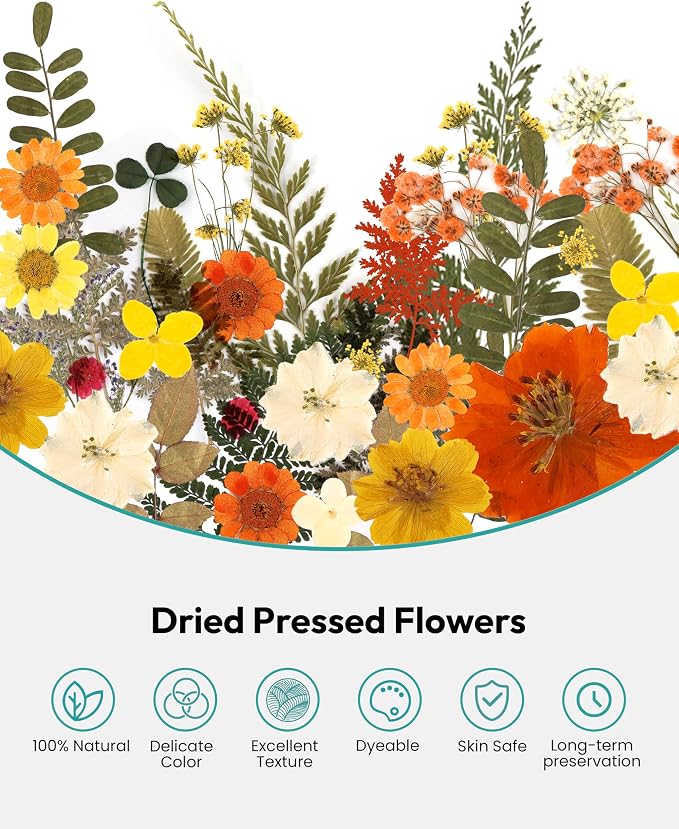 Dried Flowers, Resiners 100Pcs Pressed Flowers - Image 4