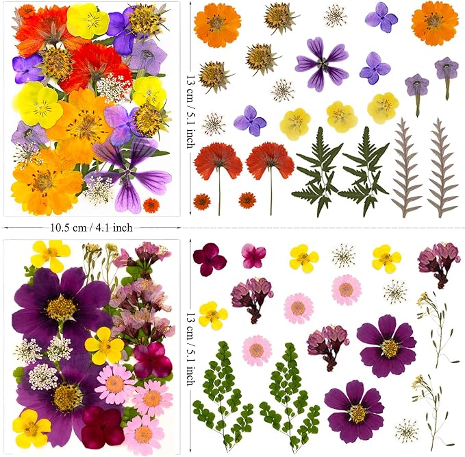 46Pcs Pressed Dried Flowers Real Natural Leave - Image 6
