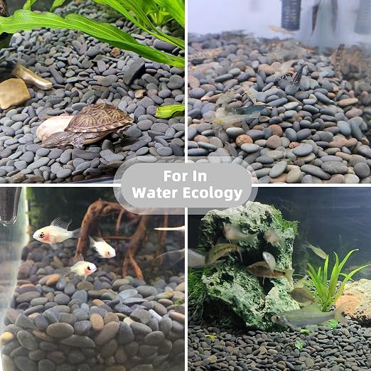 18lb Small Smooth River Rocks Pebbles - Image 4