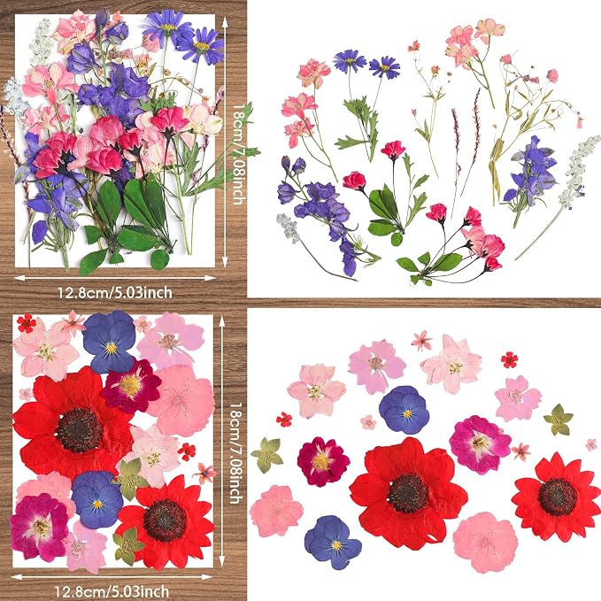 Nuanchu Pressed Flowers Bulk Dried Flower - Image 4