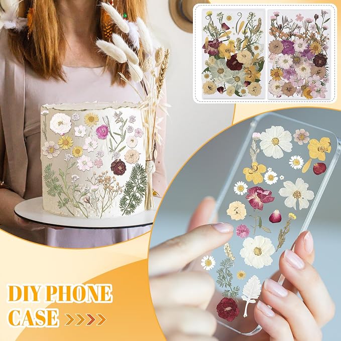 Nuanchu 200 Pcs Pressed Flowers Bulk Dried Flower - Image 7