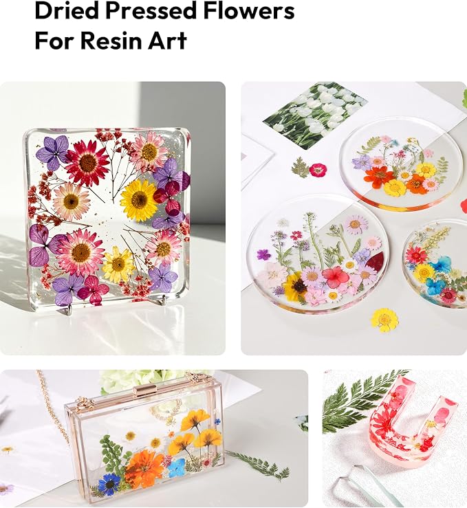Dried Flowers, Resiners 100Pcs Pressed Flowers - Image 7