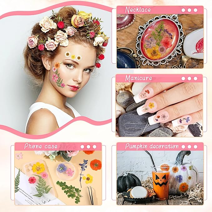 eBoot 72 Pcs Dried Pressed Flowers - Image 4