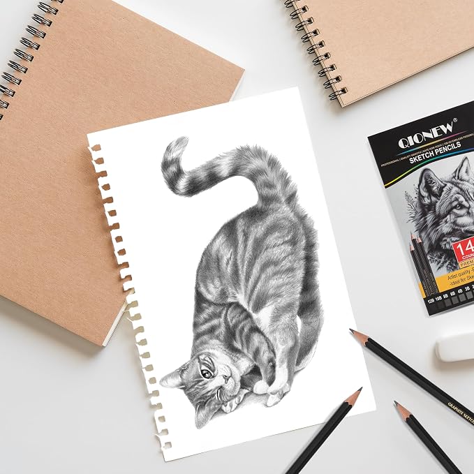 Qionew Professional Sketching Pencil - Image 2