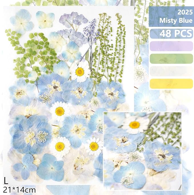 Real Dried Pressed Flowers Leaf Plant Herbarium - Image 2