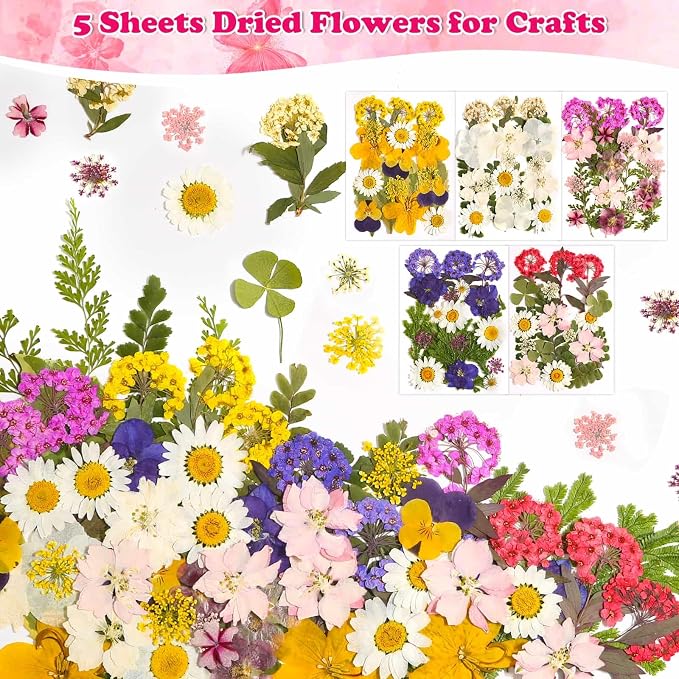 100 Pcs Dried Pressed Flowers Leaves - Image 3