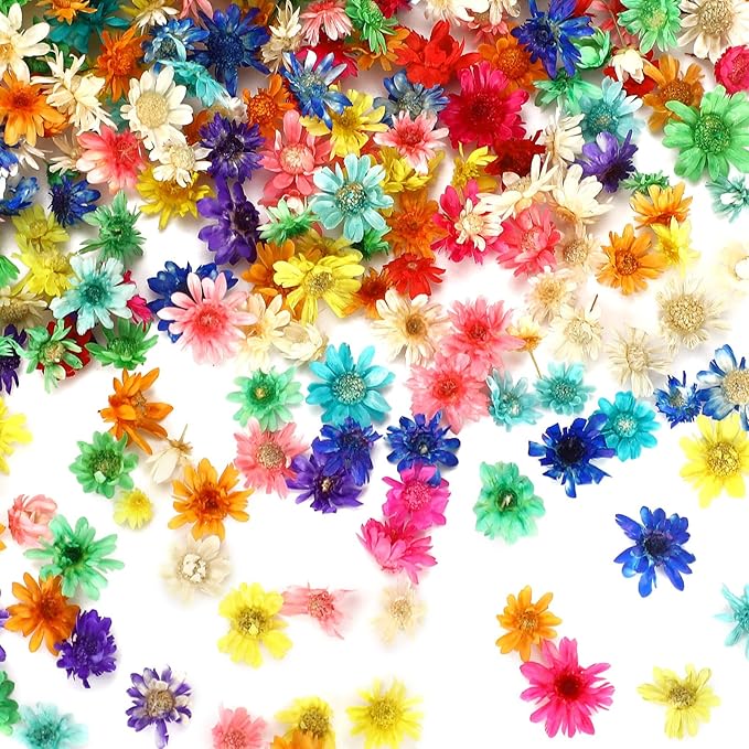 MARFOREVER 420 Pcs Small Dried Flowers by MARFOREVER