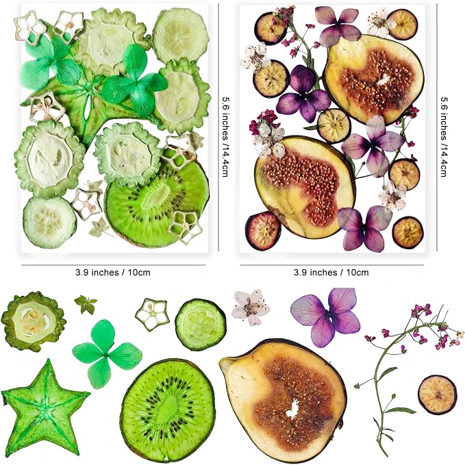 70PCS+ Nature Dried Pressed Fruits Flowers - Image 3