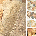 168Pcs Textured Scrapbook Paper Kit by K+Kattone