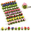 Warmtree 63 Pcs Miniature Colorful Flower Cluster Static Grass Tufts Self by Warmtree