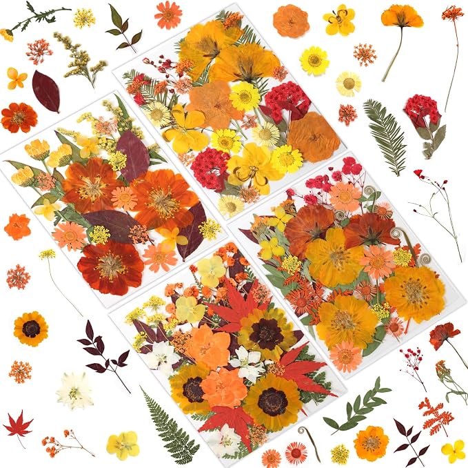 LUXEEASE 120P Yellow Orange Red Dried Pressed Flowers | Warm cozy gradient by LUXEEASE