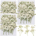 90Pcs Mini Dried Pressed Baby's Breath Flowers Bulk by Glicrili