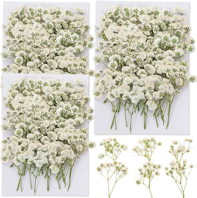 90Pcs Mini Dried Pressed Baby's Breath Flowers Bulk by Glicrili