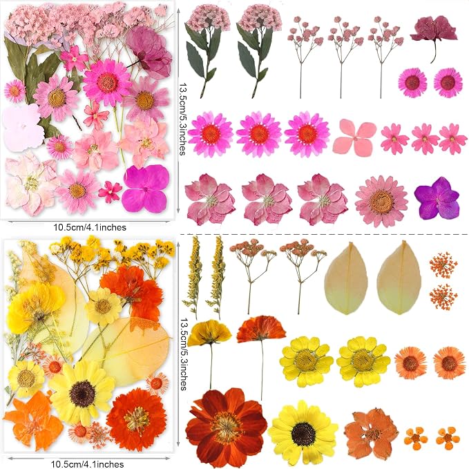 221PCS Real Nature Dried Pressed Flowers - Image 4