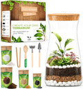 Terrarium Kit for Plants DIY | Starter Pack – Closed Ecosystem – 34 fl oz Glass by PYEFCRAFTS