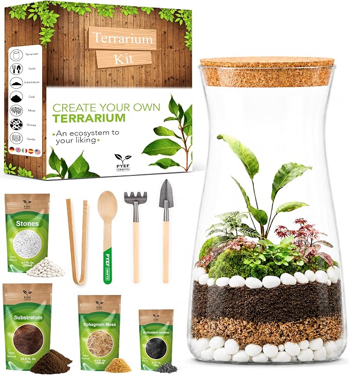 Terrarium Kit for Plants DIY | Starter Pack – Closed Ecosystem – 34 fl oz Glass by PYEFCRAFTS