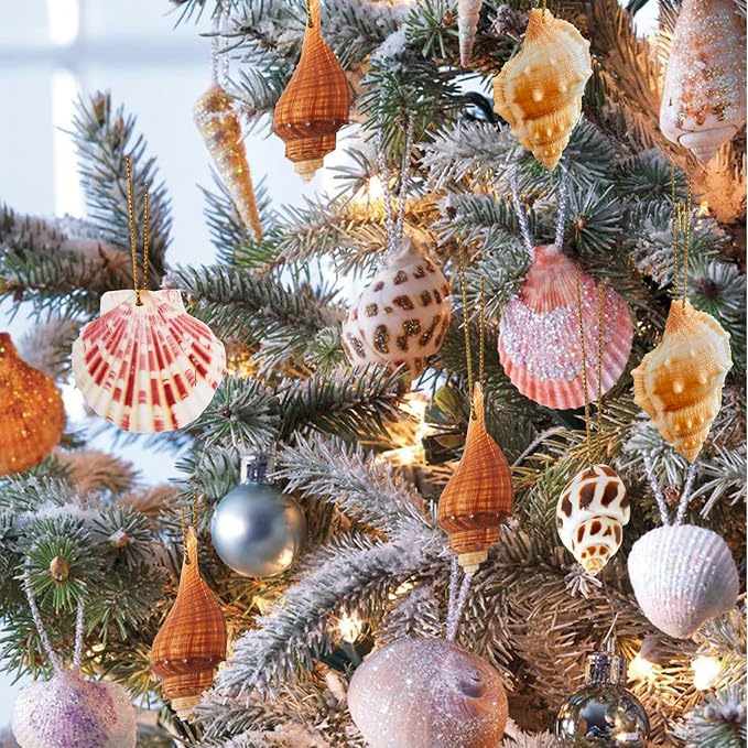 20 PCS Seashells Hanging Ornaments Natural Shells Decorations Beach Ocean - Image 6