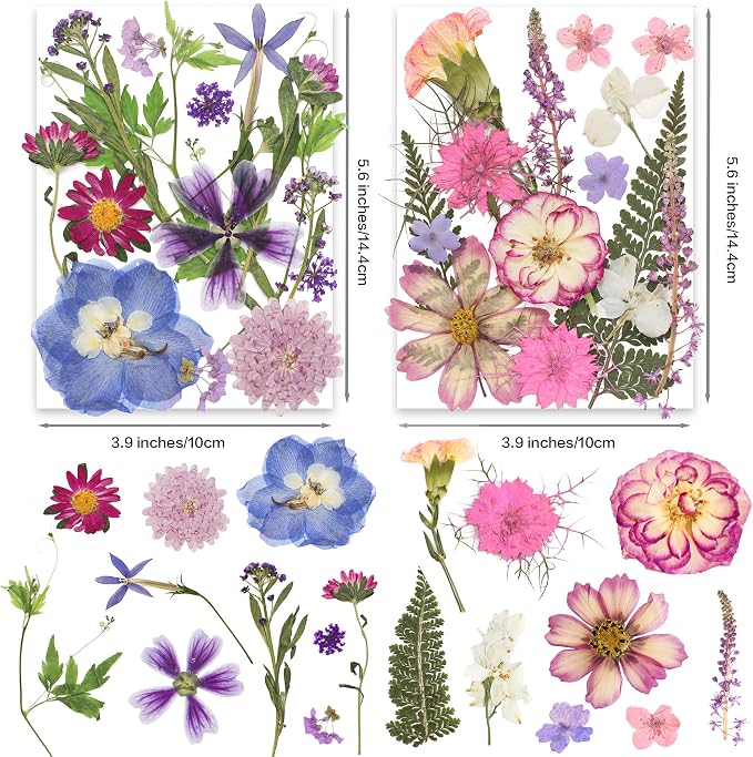 140Pcs Multi-Style Dried Pressed Flowers & Leaves - Image 4