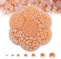 5600PCS Half Round Pearls Flatback Imitation Pearls by MLGDA