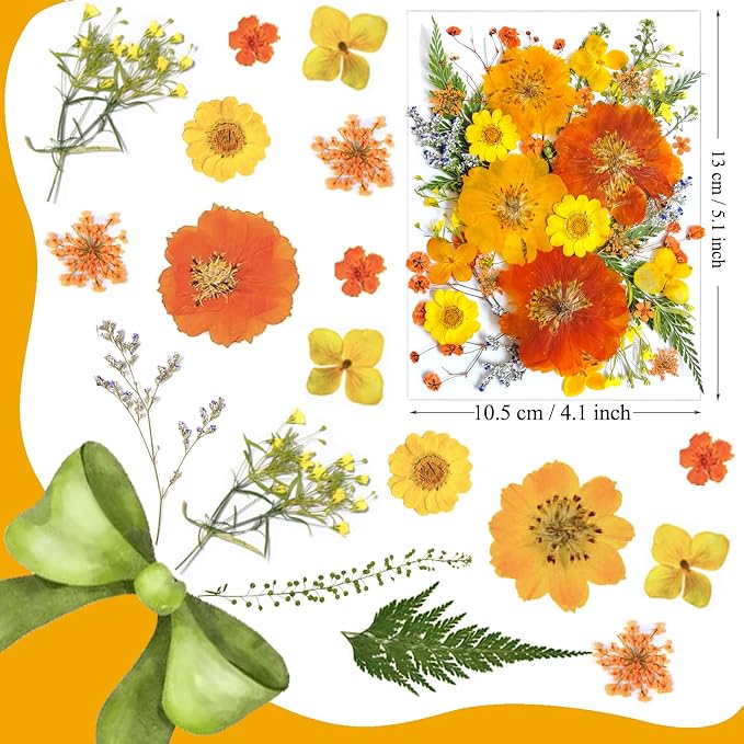35Pcs Yellow Pressed Dried Flowers - Image 5