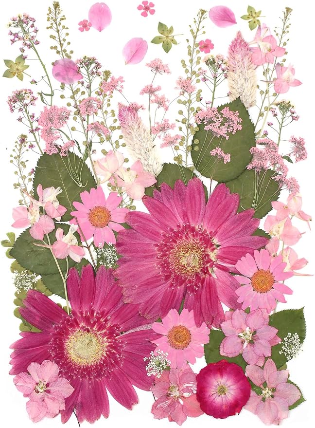 12“ Large Bulk Dried Pressed Flowers by ZMRU