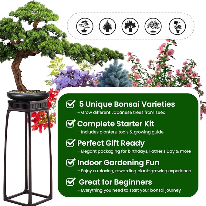 Bonsai Tree Kit for Beginners - Image 5