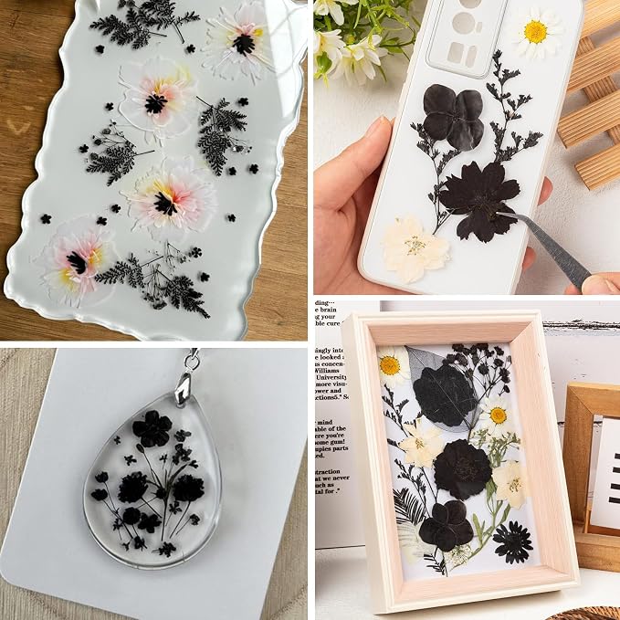 78 Pcs Black and White Dried Pressed Flowers - Image 5