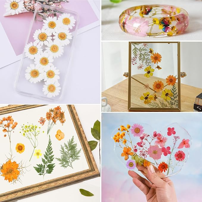 169Pcs Fall Dried Pressed Flowers - Image 7